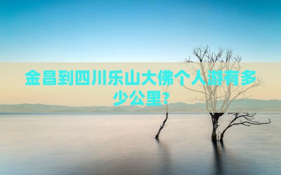 金昌到四川乐山大佛个人游