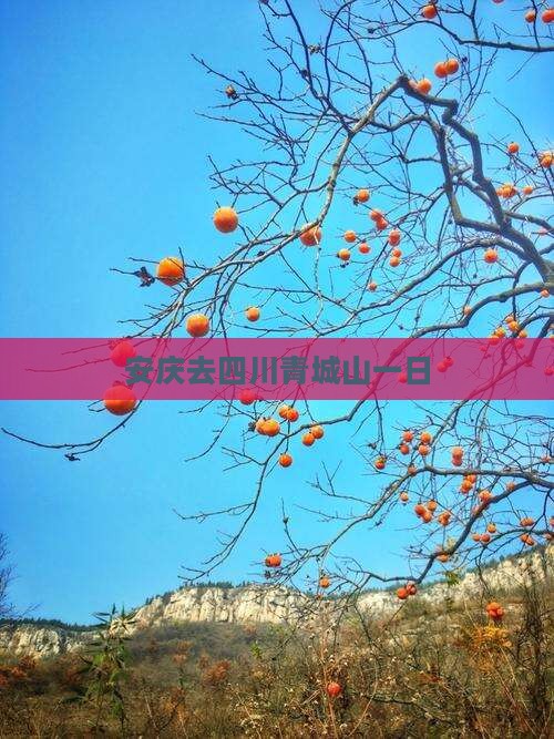 安庆去四川青城山一日