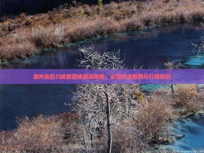 滁州去四川成都团体旅游