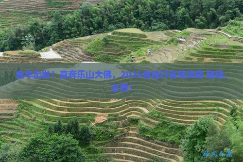 金华到四川乐山大佛自由团