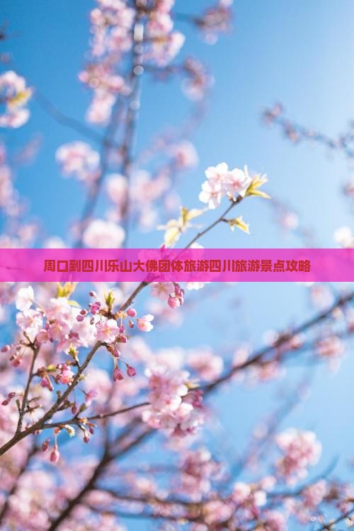 周口到四川乐山大佛团体旅游 周口到四川乐山大佛团体旅游