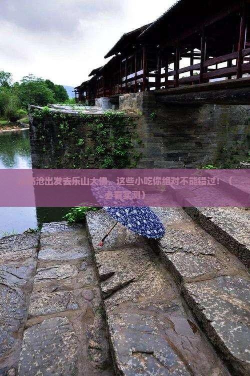 临沧去四川乐山大佛旅游小吃