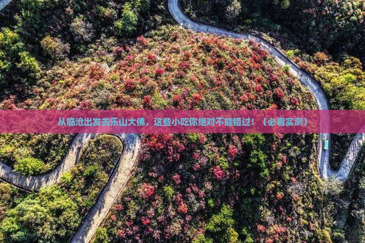 临沧去四川乐山大佛旅游小吃