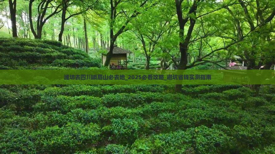 潍坊去四川峨眉山必去地