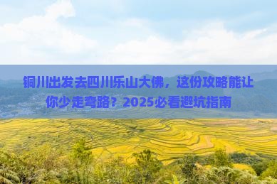 铜川去四川乐山大佛旅行社