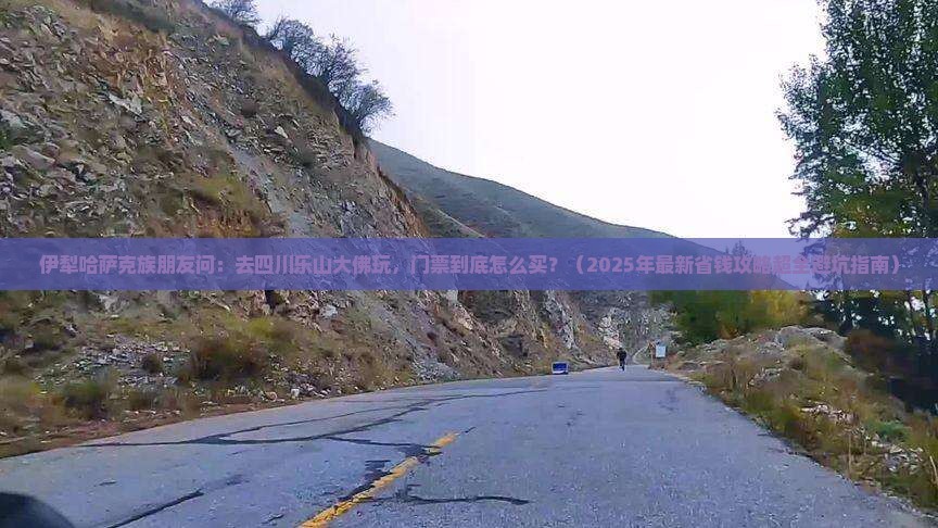伊犁哈萨克到四川乐山大佛门票