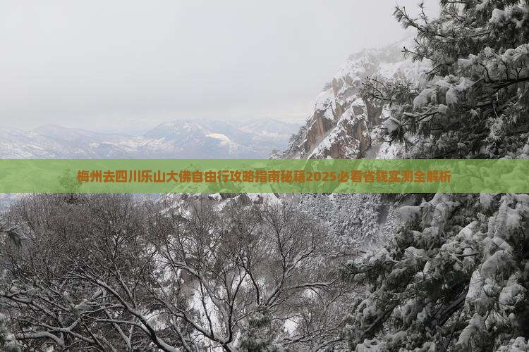 梅州去四川乐山大佛自由行