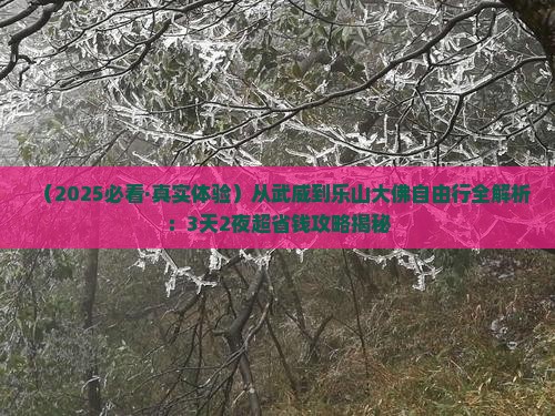 武威到四川乐山大佛自由行