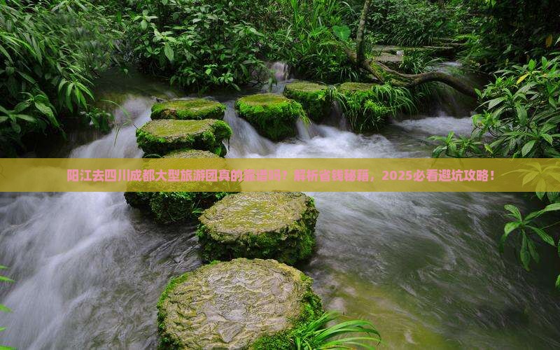 阳江去四川成都大型旅游团