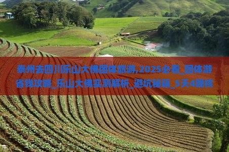 泰州去四川乐山大佛团体旅游