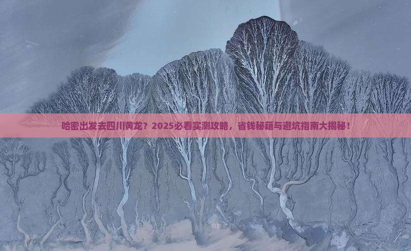 哈密去四川黄龙哪里玩