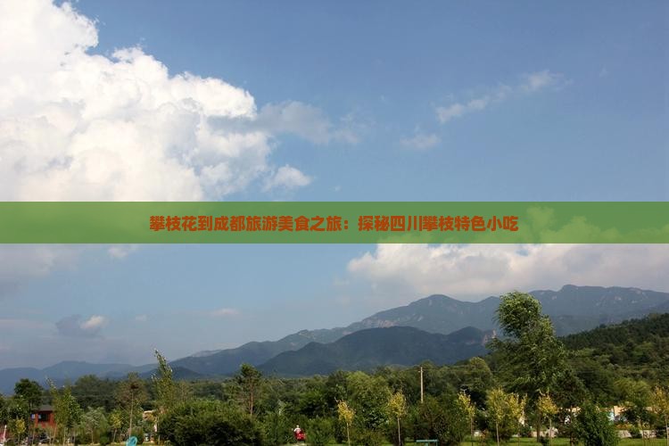 攀枝花去四川成都旅游小吃