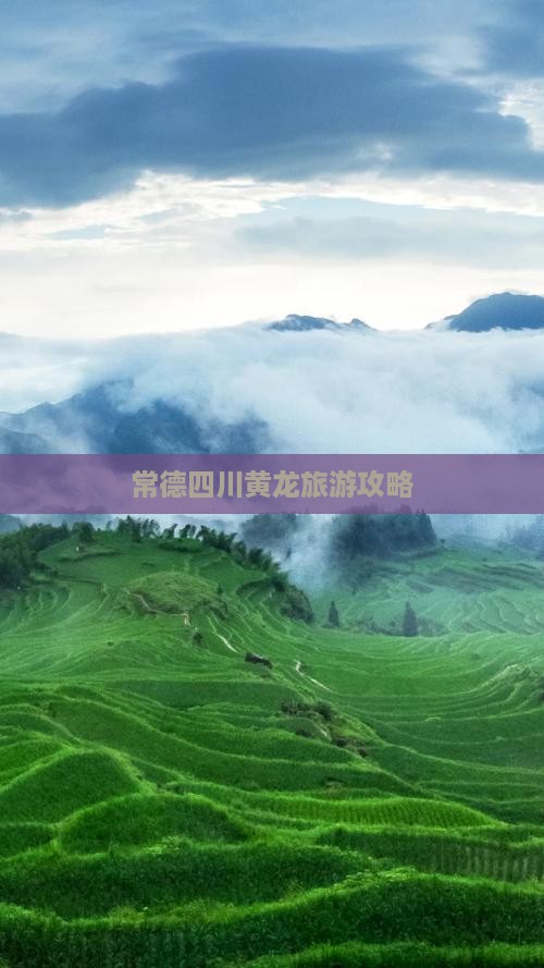 常德到四川黄龙旅行社