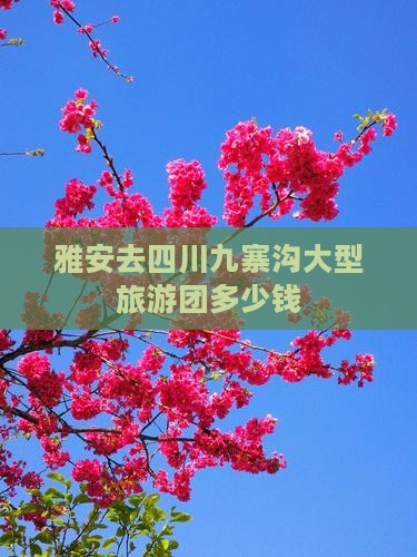 雅安去四川九寨沟大型旅游团