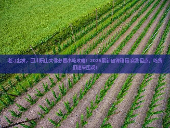 湛江去四川乐山大佛旅游小吃