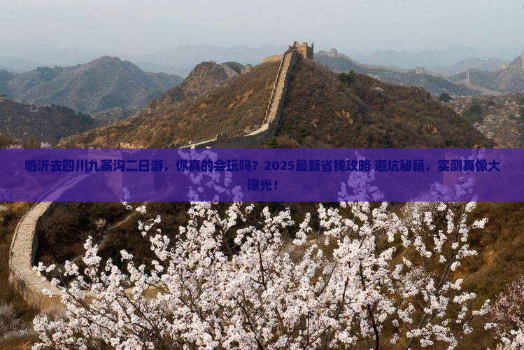 临沂去四川九寨沟二日游