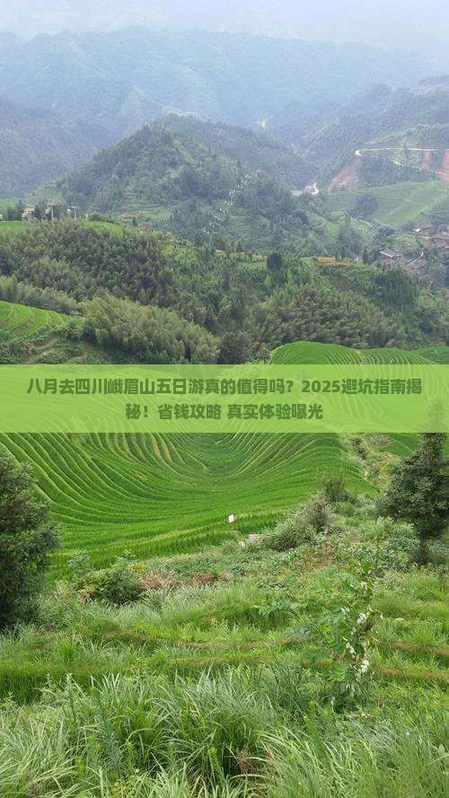 八月去四川峨眉山五日游