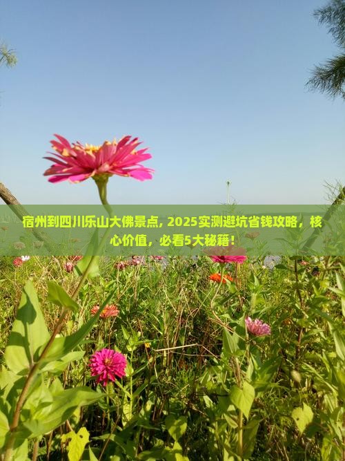 宿州到四川乐山大佛景点
