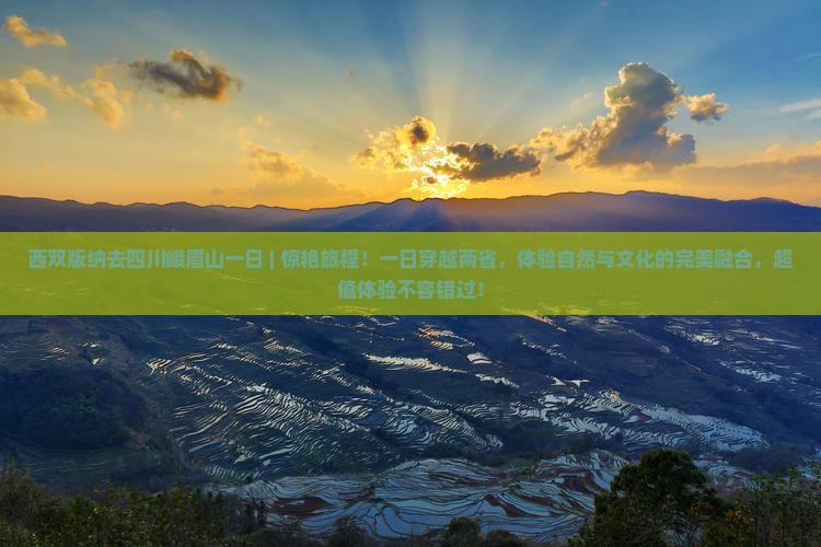 西双版纳去四川峨眉山一日
