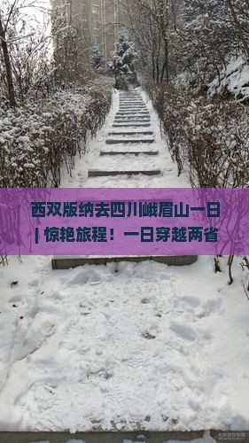 西双版纳去四川峨眉山一日