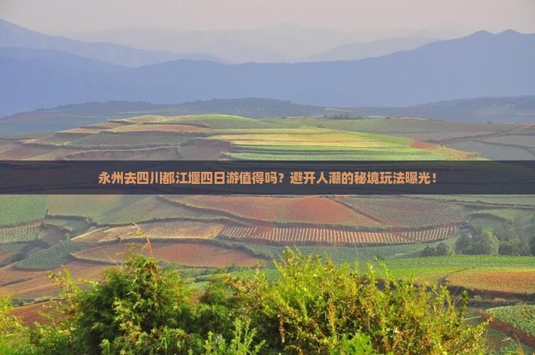 永州去四川都江堰四日游