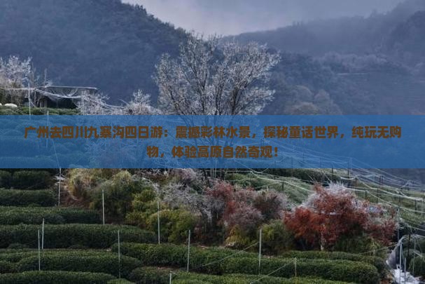 广州去四川九寨沟四日游