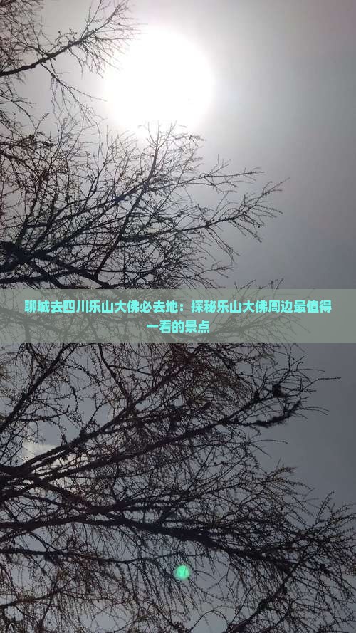 聊城去四川乐山大佛必去地