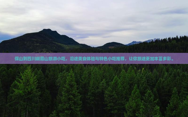 保山到四川峨眉山旅游小吃