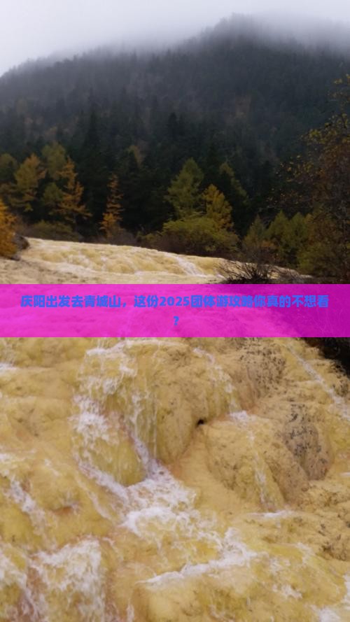 庆阳到四川青城山团体旅游