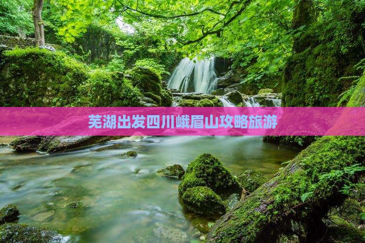 芜湖去四川峨眉山自由行
