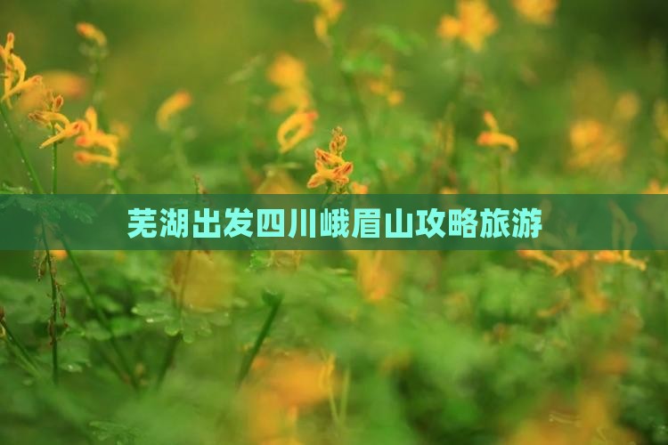 芜湖去四川峨眉山自由行