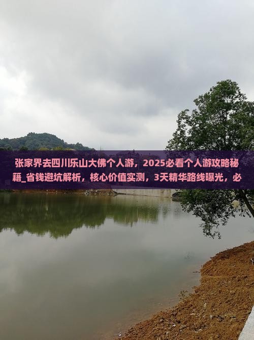 张家界去四川乐山大佛个人游