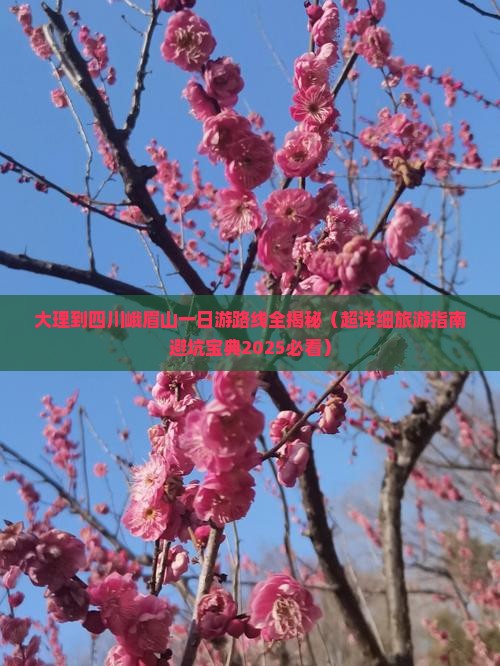 大理到四川峨眉山一日