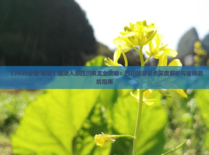 醴陵去四川黄龙自由行