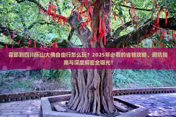 霍邱到四川乐山大佛自由行