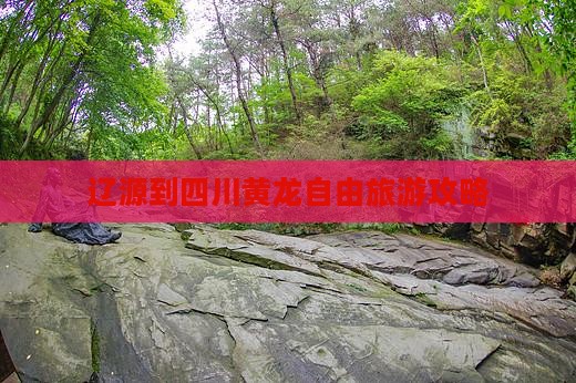 辽源到四川黄龙自由团