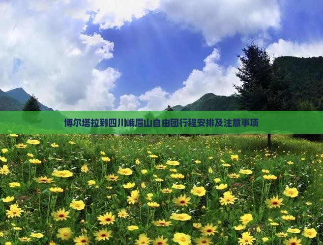 博尔塔拉到四川峨眉山自由团