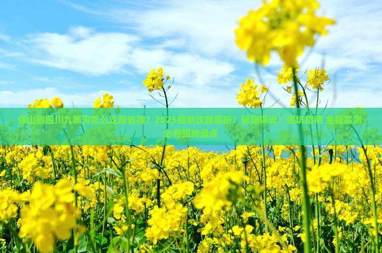 保山到四川九寨沟攻略