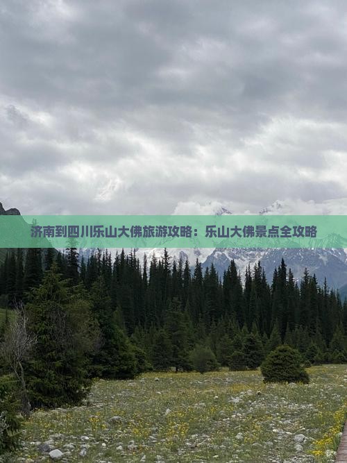 济南到四川乐山大佛门票