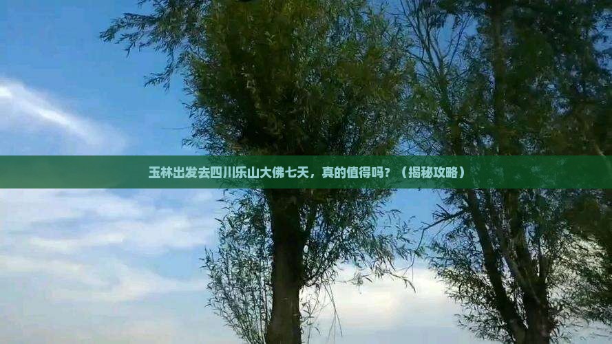 玉林去四川乐山大佛七日游