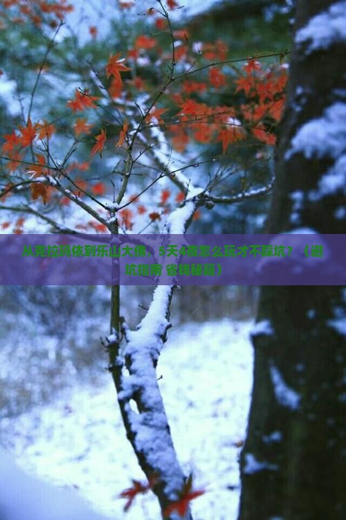 克拉玛依去四川乐山大佛团体旅游 克拉玛依去四川乐山大佛团体旅游