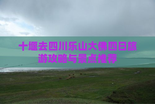 十堰去四川乐山大佛四日游