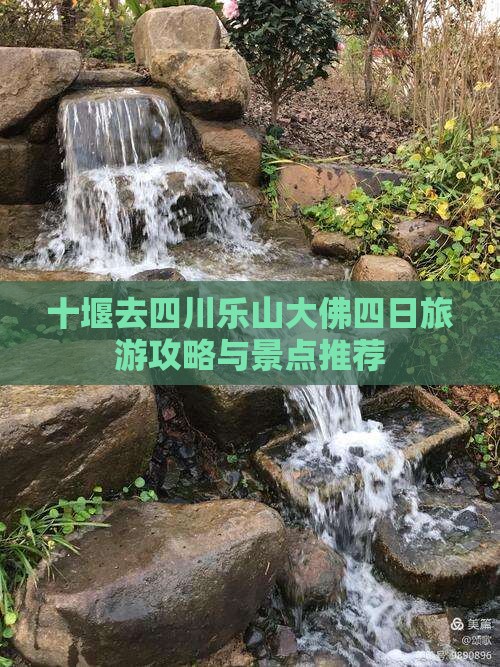 十堰去四川乐山大佛四日游