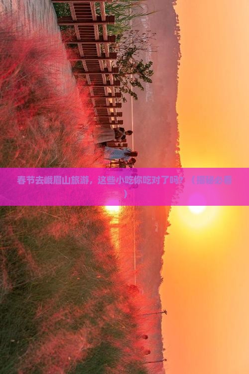 春节到四川峨眉山旅游小吃