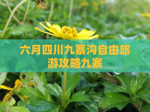 六月去四川九寨沟自由团