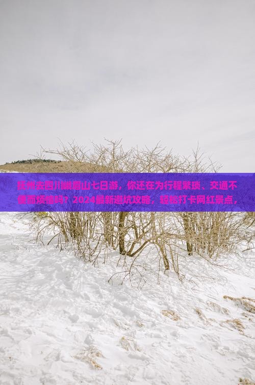 抚州去四川峨眉山七日游