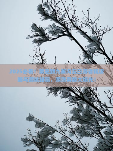 莱芜到四川九寨沟五日游