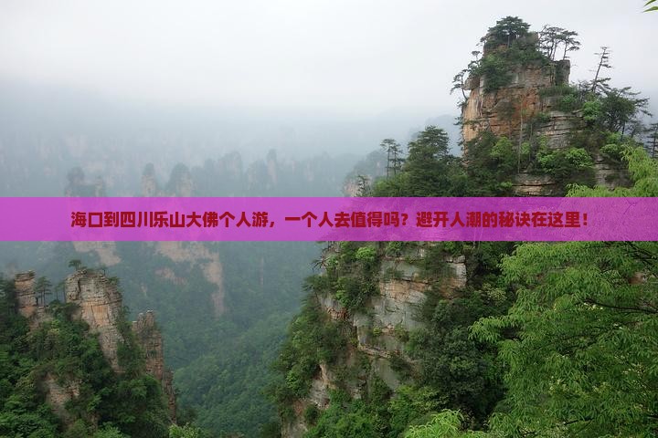 海口到四川乐山大佛个人游