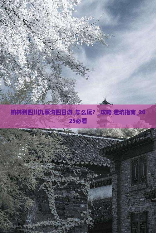 榆林到四川九寨沟四日游