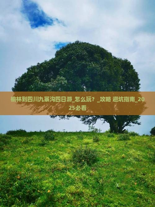 榆林到四川九寨沟四日游